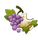 https://psyc0pathe.alwaysdata.net/Transformice/cartouches/cartouche_38.png