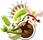 https://psyc0pathe.alwaysdata.net/Transformice/cartouches/cartouche_59.png