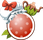 https://psyc0pathe.alwaysdata.net/Transformice/cartouches/cartouche_8.png